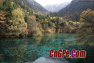 ����Ϊʲô������ô��