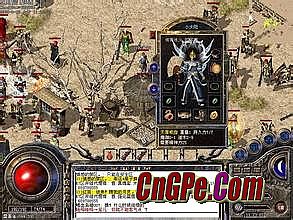 �ɽ�����װ������