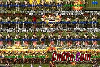 ������̬�ϻ����汶��