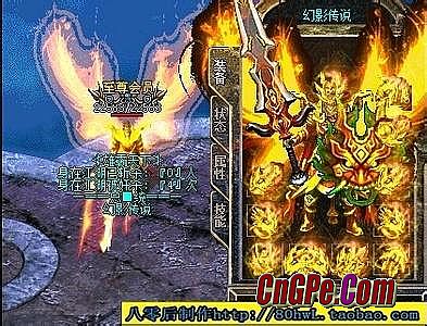 ���Ŵ�����������