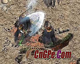 ����̬��Ѫ����