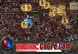 ���Ź�â��ͽ��������