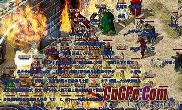�����һ��������