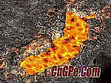 ˸첲ҪħƼױ˵